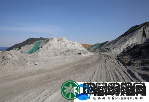 新深入探讨“抓灰是什么意思”及其文化内涵