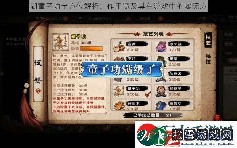 烟雨江湖童子功全方位解析：作用览及其在游戏中的实际应用价值