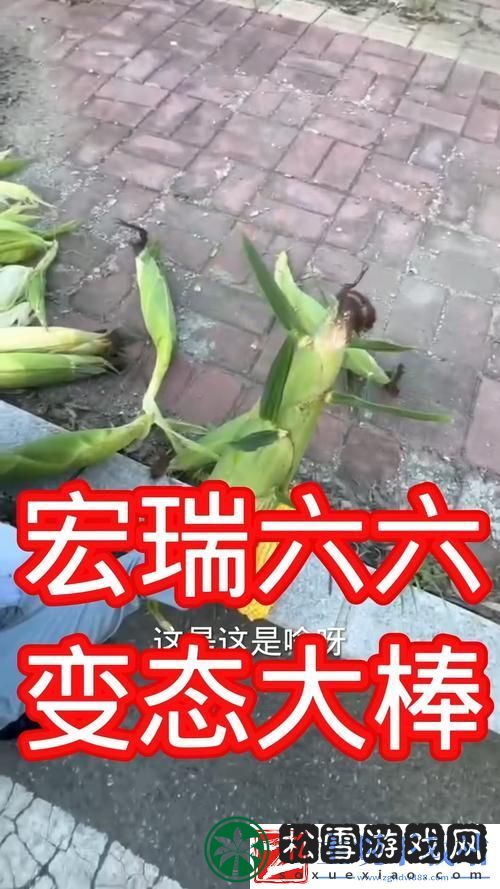 大肉奉子一进一出