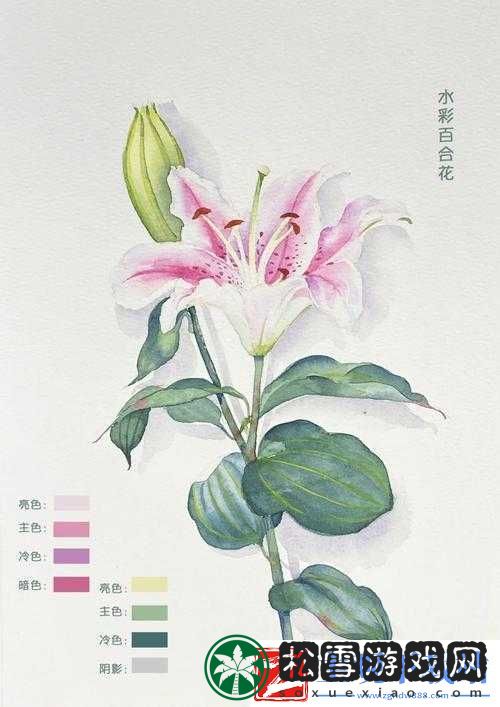 桃源深处有人家百合花怎么配色