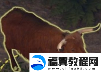 博德之门3古怪的公牛位置一览