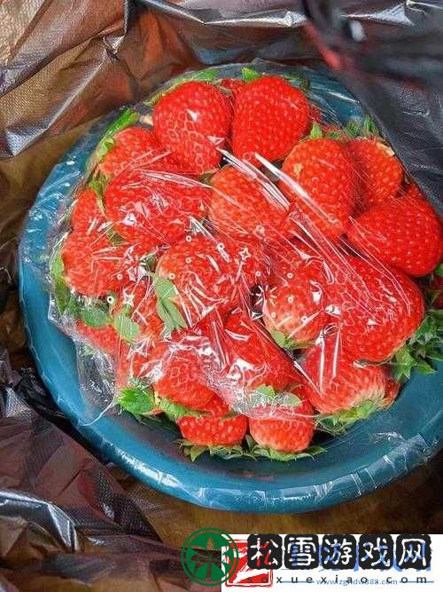 茄子丝瓜草莓榴莲石榴