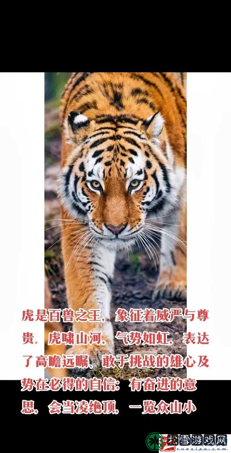 好好感受本王的威严