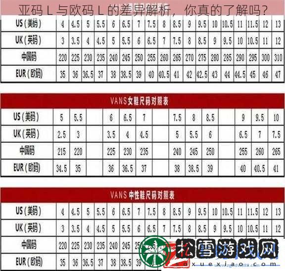 亚码-L-与欧码-L-的差异解析-你真的了解吗