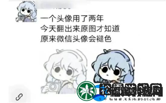 微信头像褪色怎么恢复-微信头像褪色恢复攻略