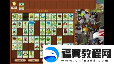 植物大战僵尸杂交版英雄模式传送带攻略