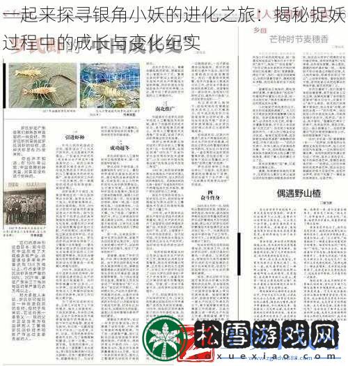 一起来探寻银角小妖的进化之旅