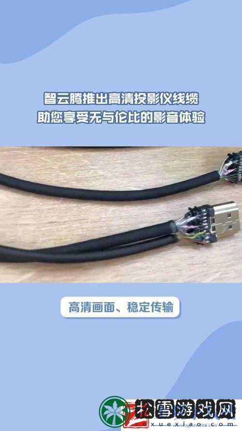977国产连接线：打造优质连接体验