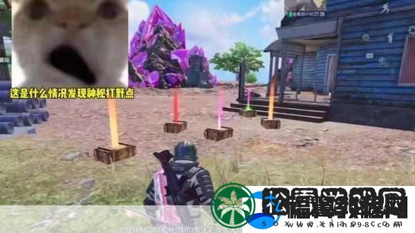 和平精英新武器战术突击盾牌