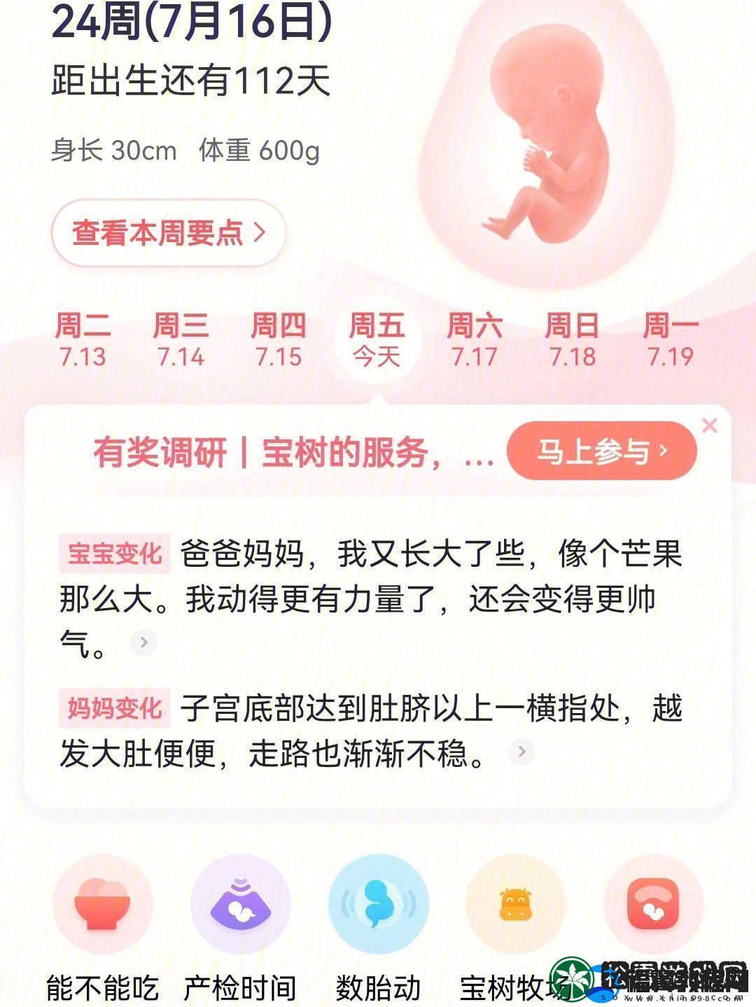 毛毛乐乐葆葆的另类成长手册：创新热潮中的诡异指南
