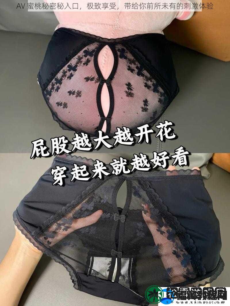 AV-蜜桃秘密秘入口-极致享受-带给你前所未有的刺激体验