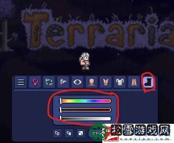 泰拉瑞亚怎么捏脸才能好看捏脸好看方法