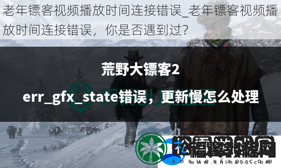 老年镖客视频播放时间连接错误
