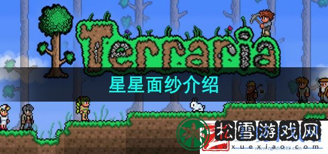 泰拉瑞亚星星面纱有什么用