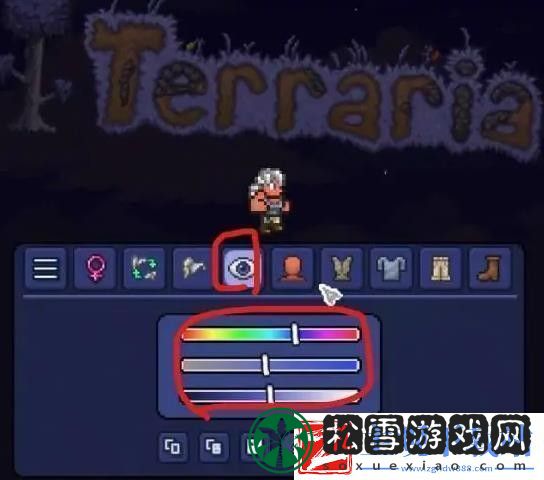 泰拉瑞亚怎么捏脸才能好看捏脸好看方法