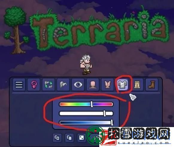 泰拉瑞亚怎么捏脸才能好看捏脸好看方法