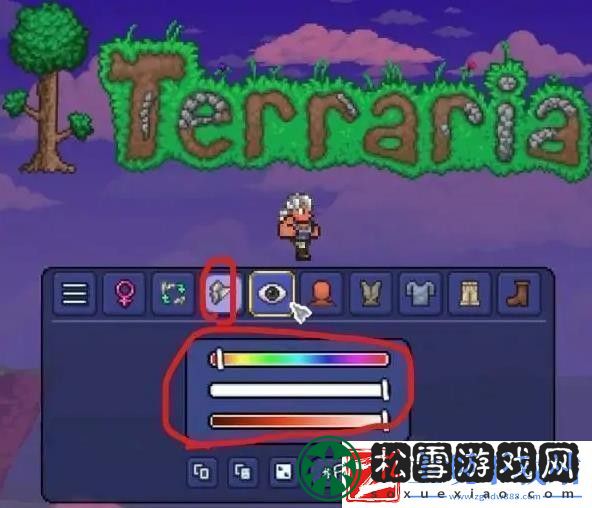 泰拉瑞亚怎么捏脸才能好看捏脸好看方法