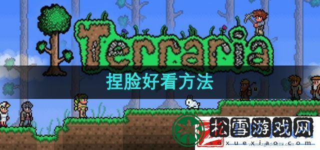 泰拉瑞亚怎么捏脸才能好看捏脸好看方法
