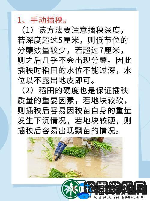 夫妻插秧38种方法图片