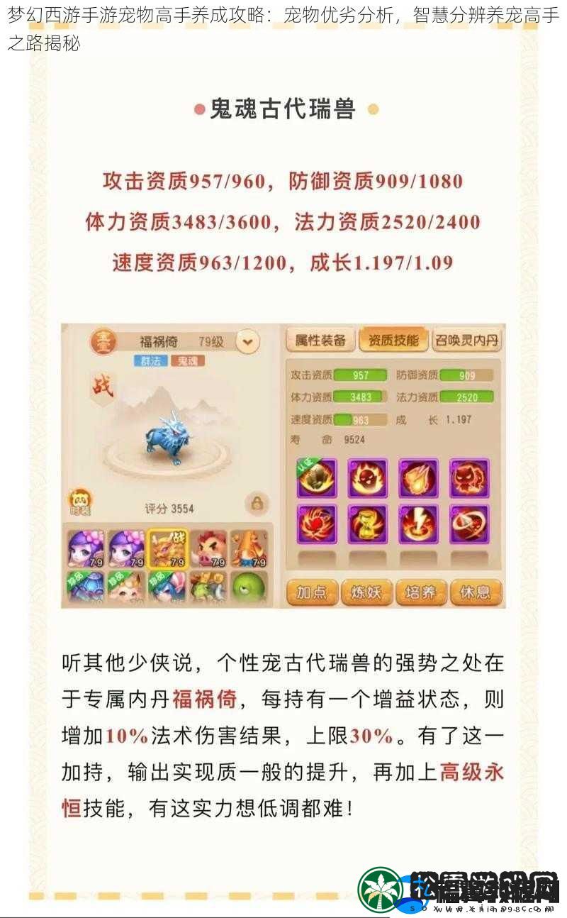 梦幻西游手游宠物高手养成攻略：宠物优劣分析-智慧分辨养宠高手之路揭秘