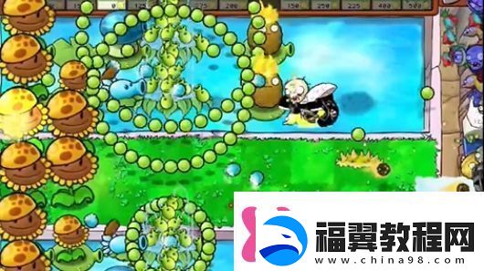 植物大战僵尸杂交版冒险第16关怎么过