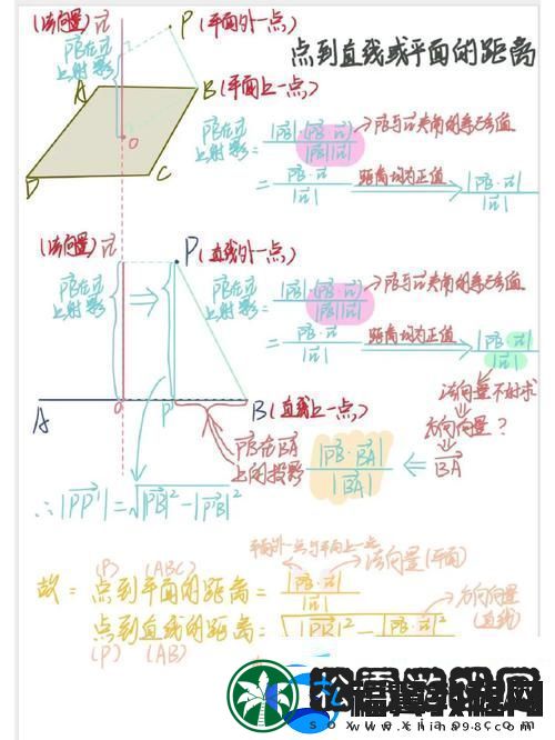 高中数学1v1补课班骨科：打破学习壁垒-助力学子腾飞