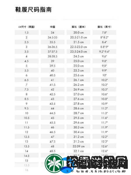 解读欧洲LV尺码大