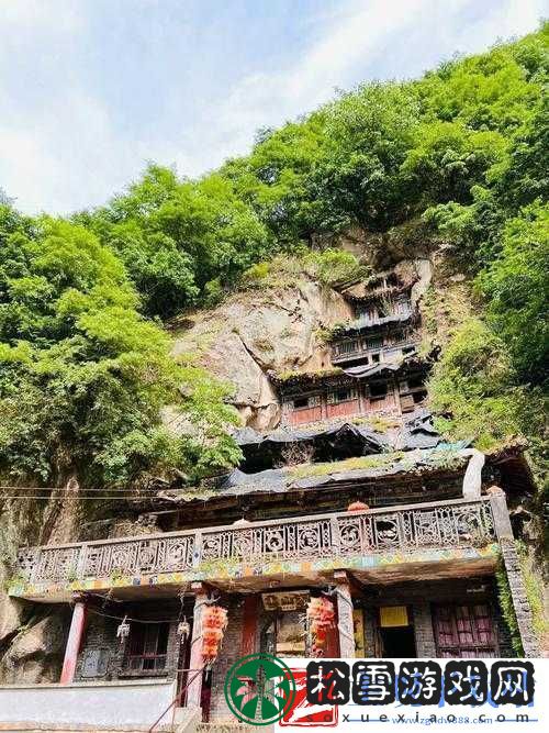 伊春园2025入口直达大象：探索神秘之地