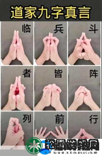 切的贼溜-指尖舞动-切割乐趣无限升级！