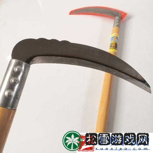 饥荒中割下的草用途揭秘：割草代码图鉴及其实际应用探索