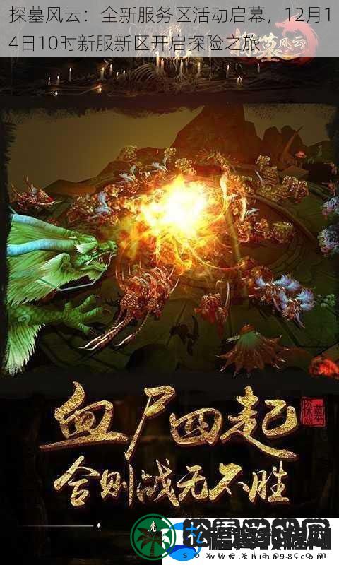 探墓风云