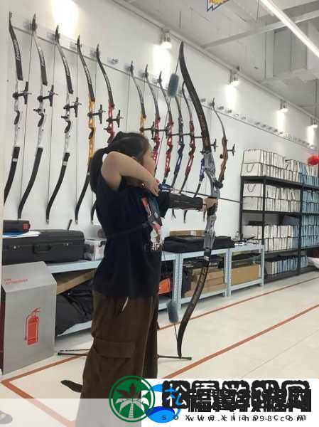 独行射手-策略与箭术并重的射箭射击游戏新体验