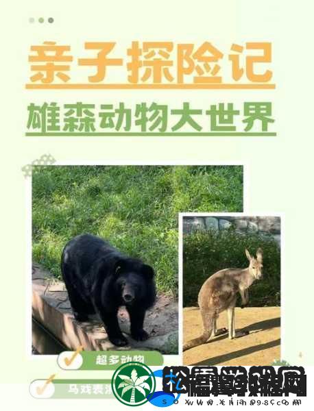 探索奇妙沟通之旅