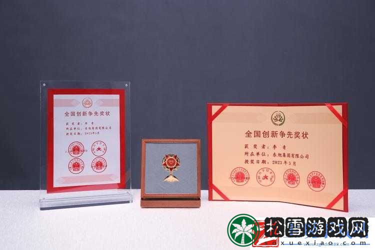 荣誉勋章突破多人连线难题的创新探索与实践