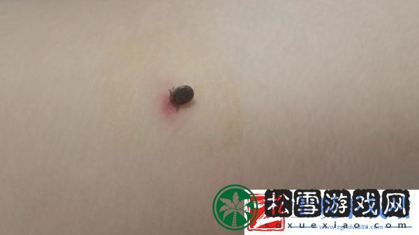 “潮虫”来袭！衣底藏“龙”引领风骚