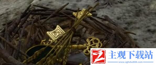 博德之门3鸟巢闪亮亮宝箱怎么获得