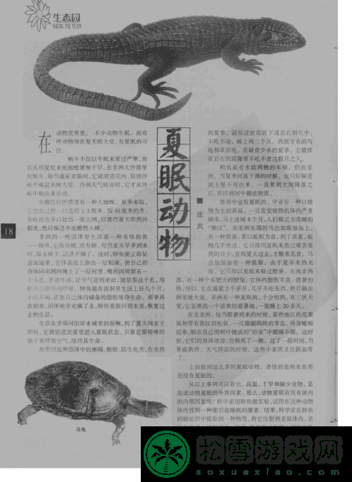 看镜子里我们的结合的地方科学