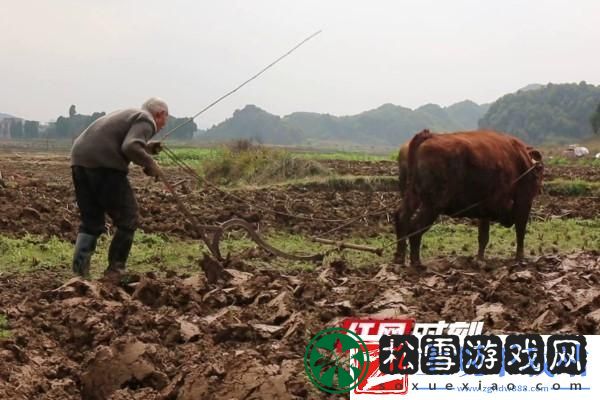 耕田新风尚：临沂儿郎替父操劳-笑谈科技弄潮