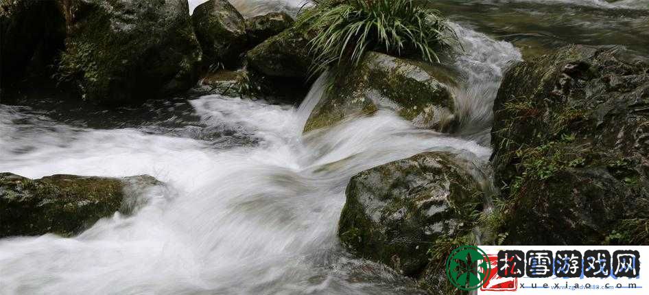 黄龙直捣溪水潺潺：自然奇景令人陶醉