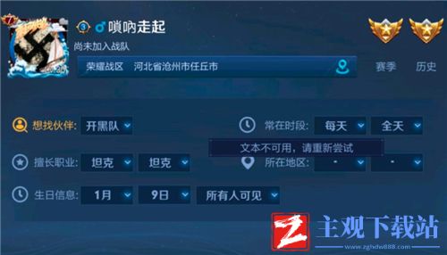 王者荣耀改生日显示昵称错误怎么办-文本不可用解决方法