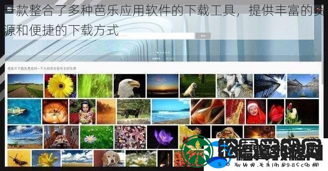 一款整合了多种芭乐应用软件的下载工具