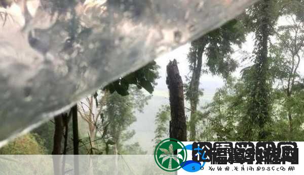 欧美无人区码卡二卡3卡4当然可以！以下是一些基于欧美无人区码卡二卡3卡4的扩展