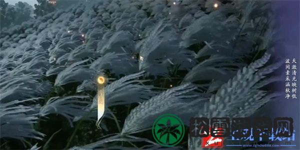 射雕手游桥头明月任务攻略