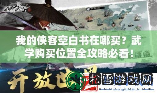 我的侠客空白书在哪买