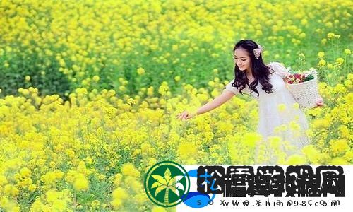 日本夫妻二人一起入住酒店：探索生活中的小确幸与大意义重拾爱情的初心与承诺