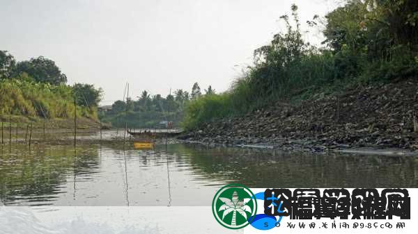 率土之滨揽胜画廊